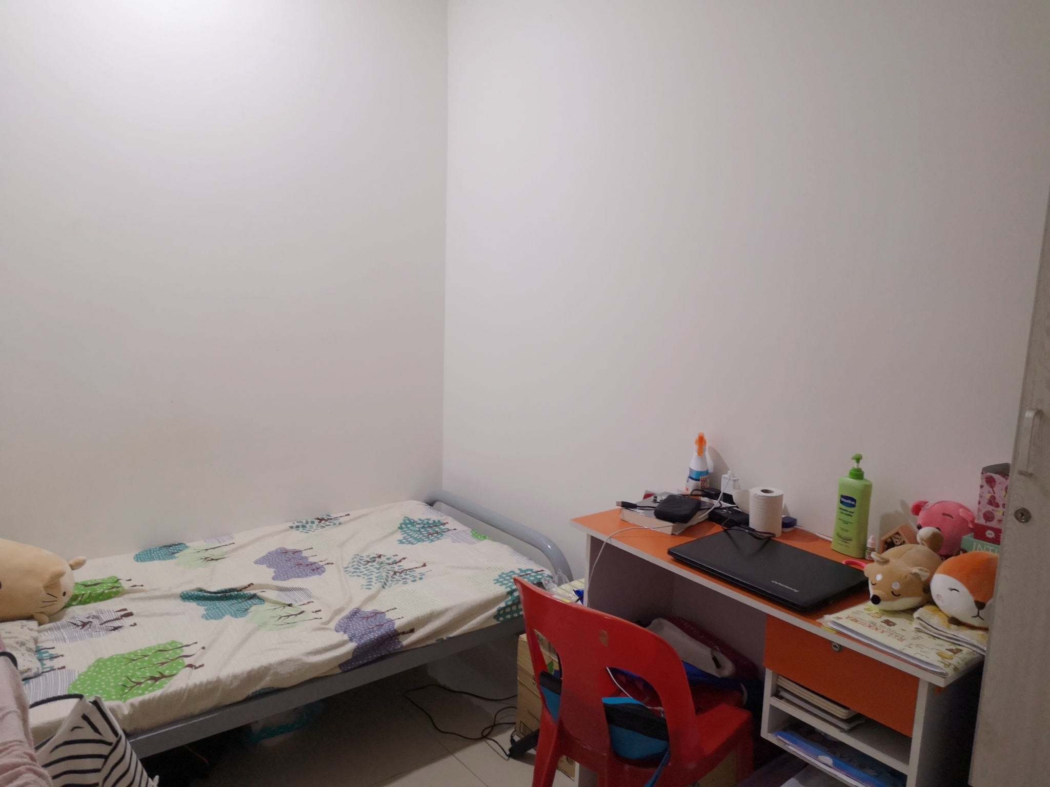 Single Room (Fan Hostel)