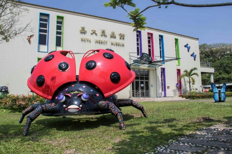 标本丰富的嘉大昆虫馆，是一个学术课堂及适合学生放松心情的去处。