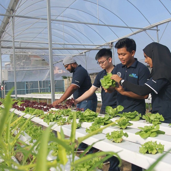 可持续农业的最新技术为测试、精炼和实施，来培植大量的水果及蔬菜。QIU的生物科学学院与酒店学院合作，让学生为我们的Envee 餐厅提供最新鲜的有机农产品。