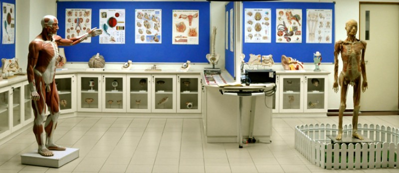 MAHSA University - Anatomy Laboratory